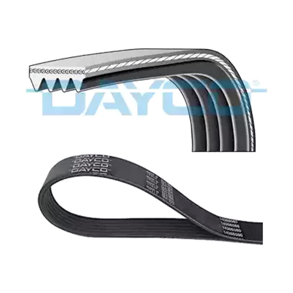 DAYCO Ремень приводной BMW 5-Series 03-10 / X3 03-10 M57D30TU2;M57D30UL;M57N2;M57TUD30