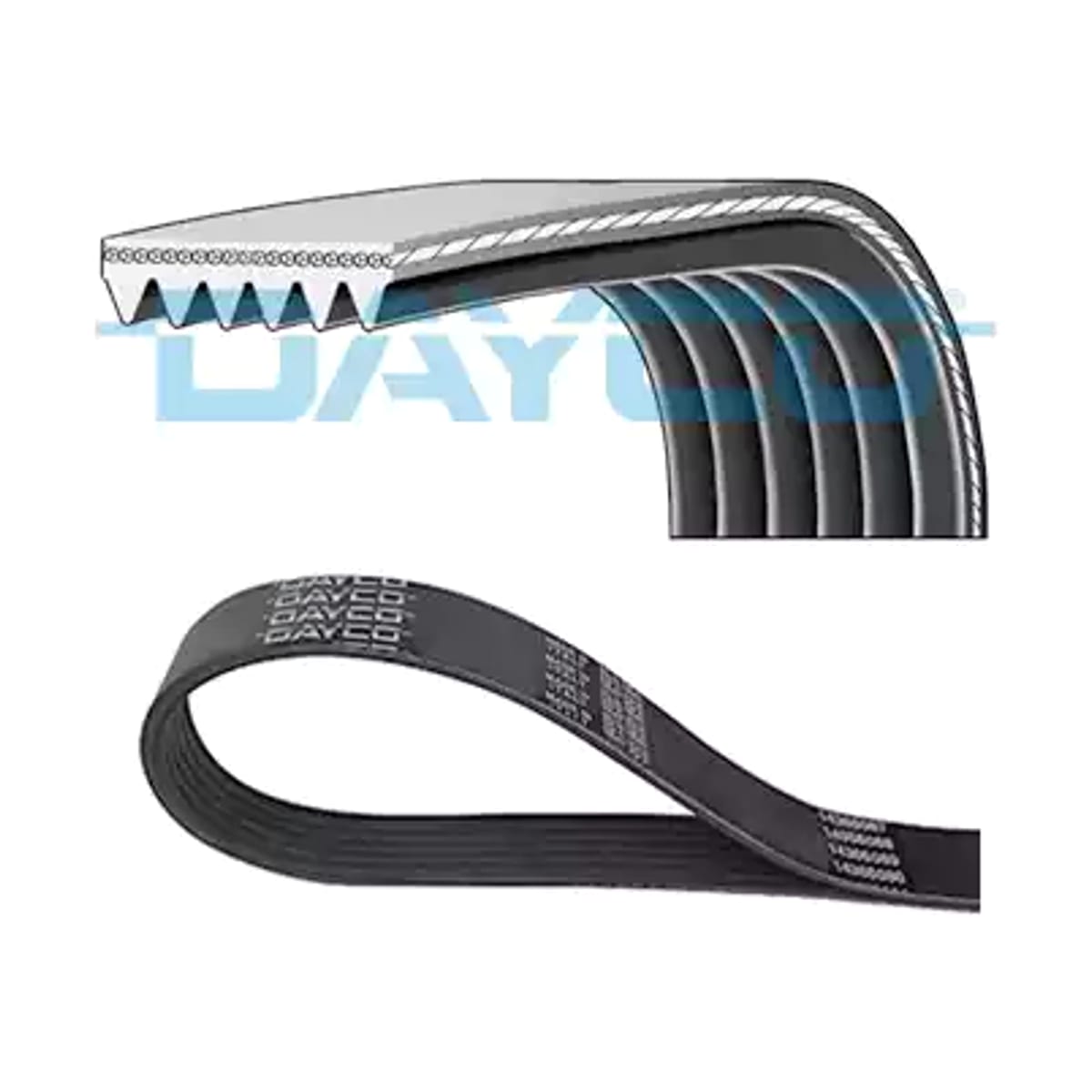 DAYCO Ремень приводной Ford Mondeo 00-07 / Transit 06-14