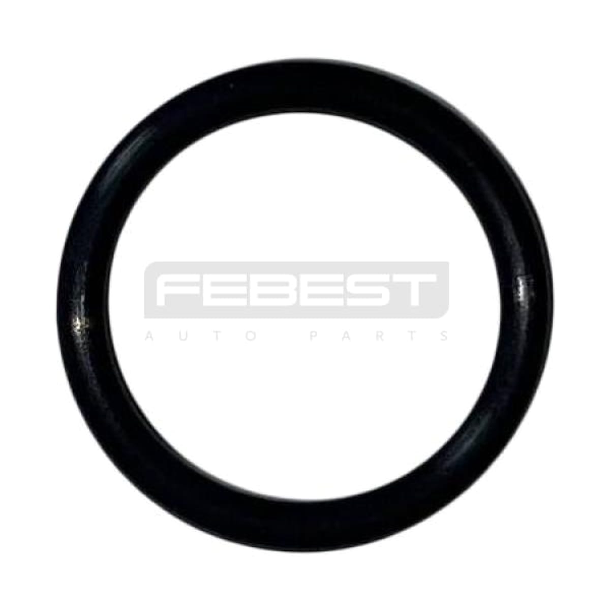 FEBEST КОЛЬЦО УПЛОТНИТЕЛЬНОЕ ТОПЛИВНОГО НАСОСА 8.8X2.3