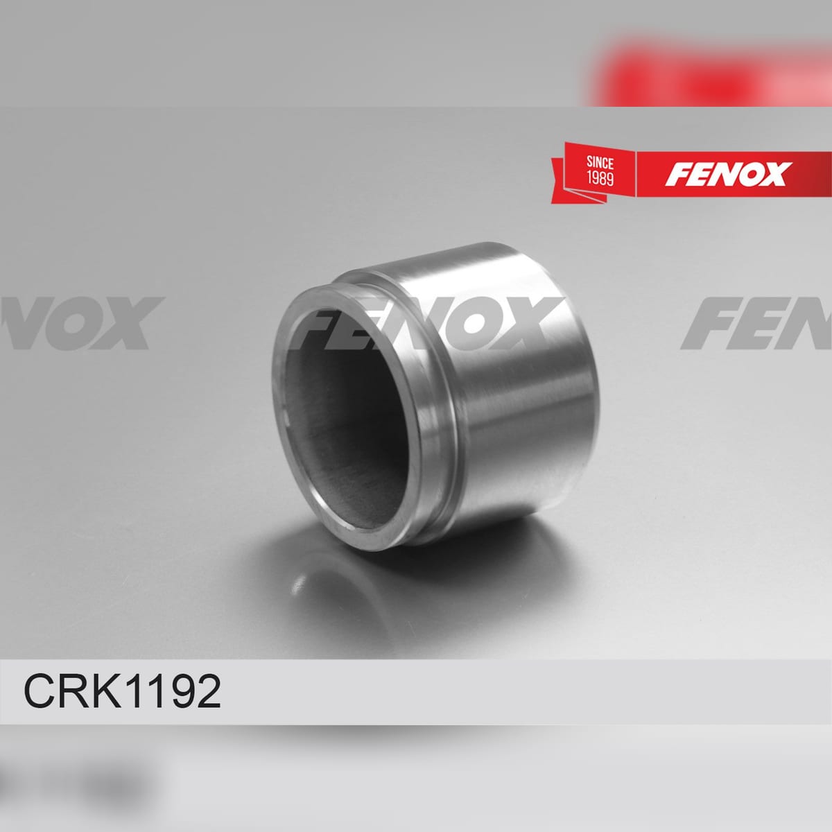 FENOX Ремкомплект тормозного суппорта CRK1192
