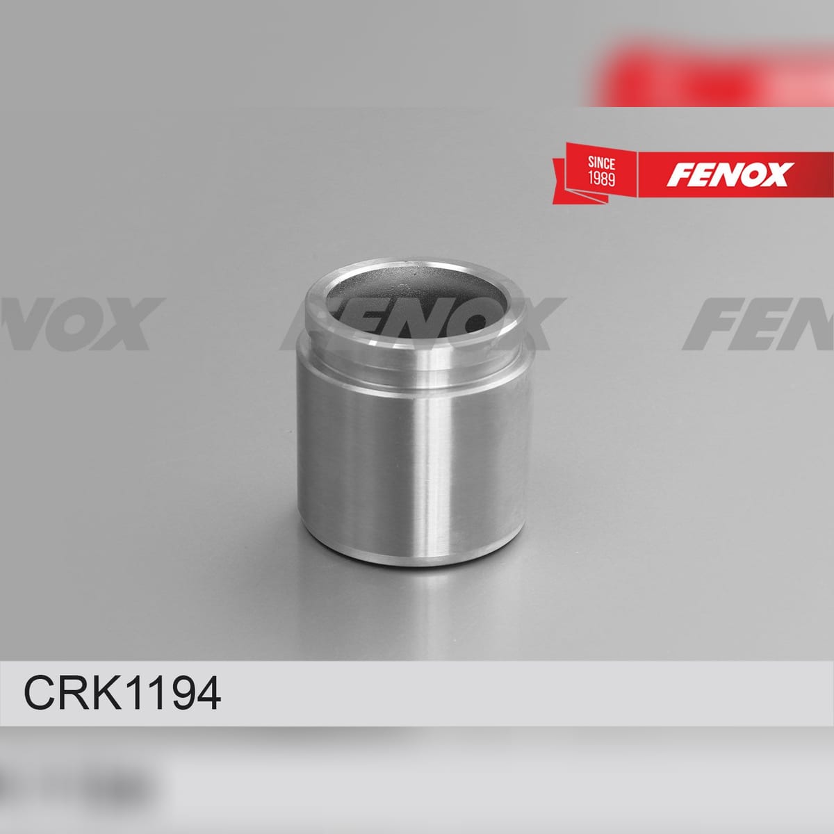 FENOX Ремкомплект тормозного суппорта CRK1194
