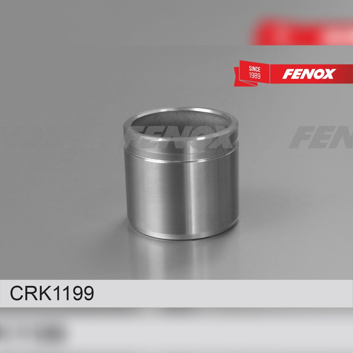 FENOX Ремкомплект тормозного суппорта CRK1199
