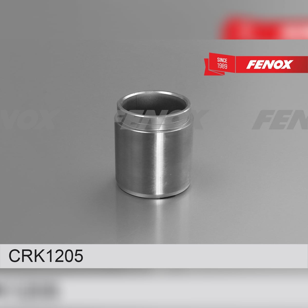FENOX Ремкомплект тормозного суппорта CRK1205