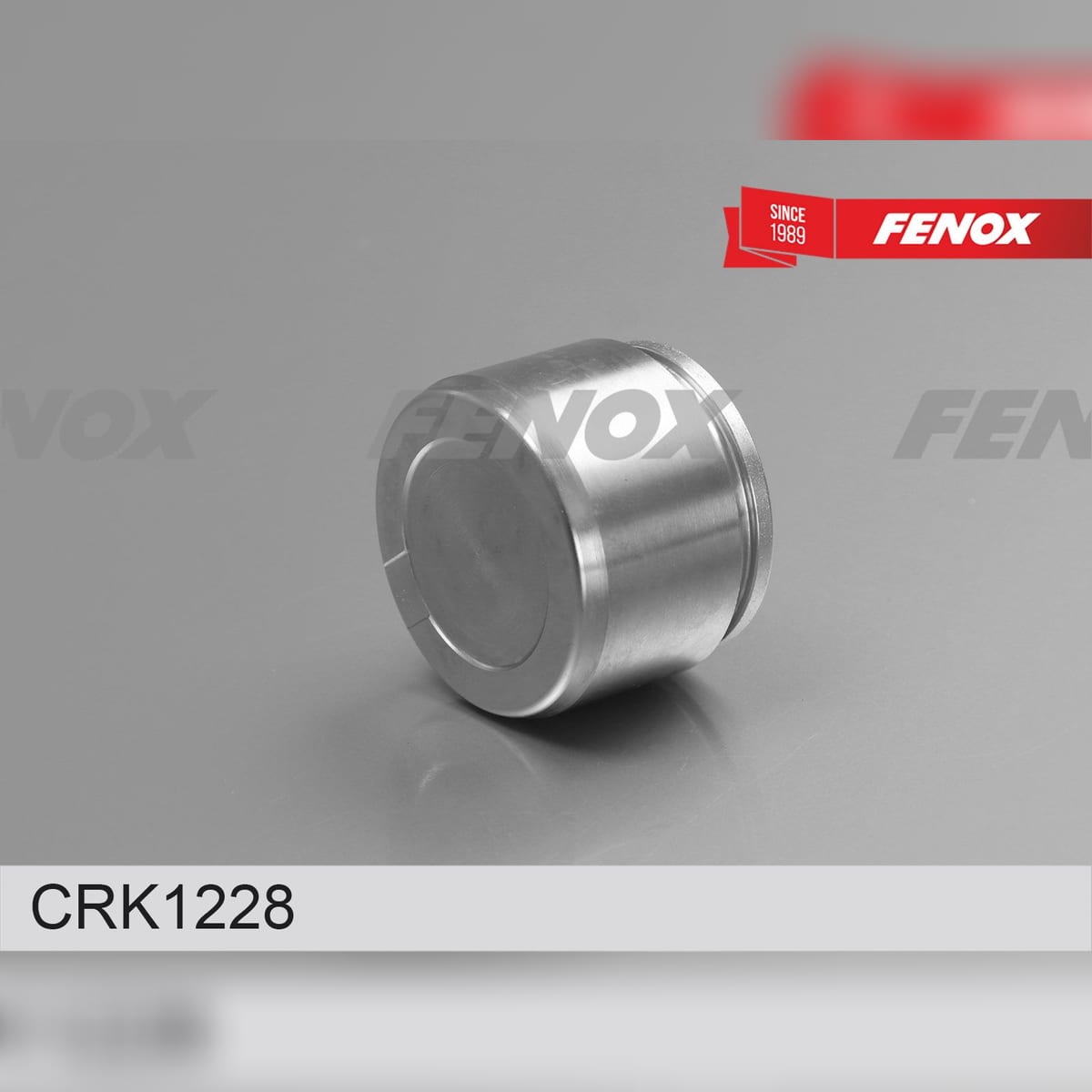 FENOX Ремкомплект тормозного суппорта CRK1228