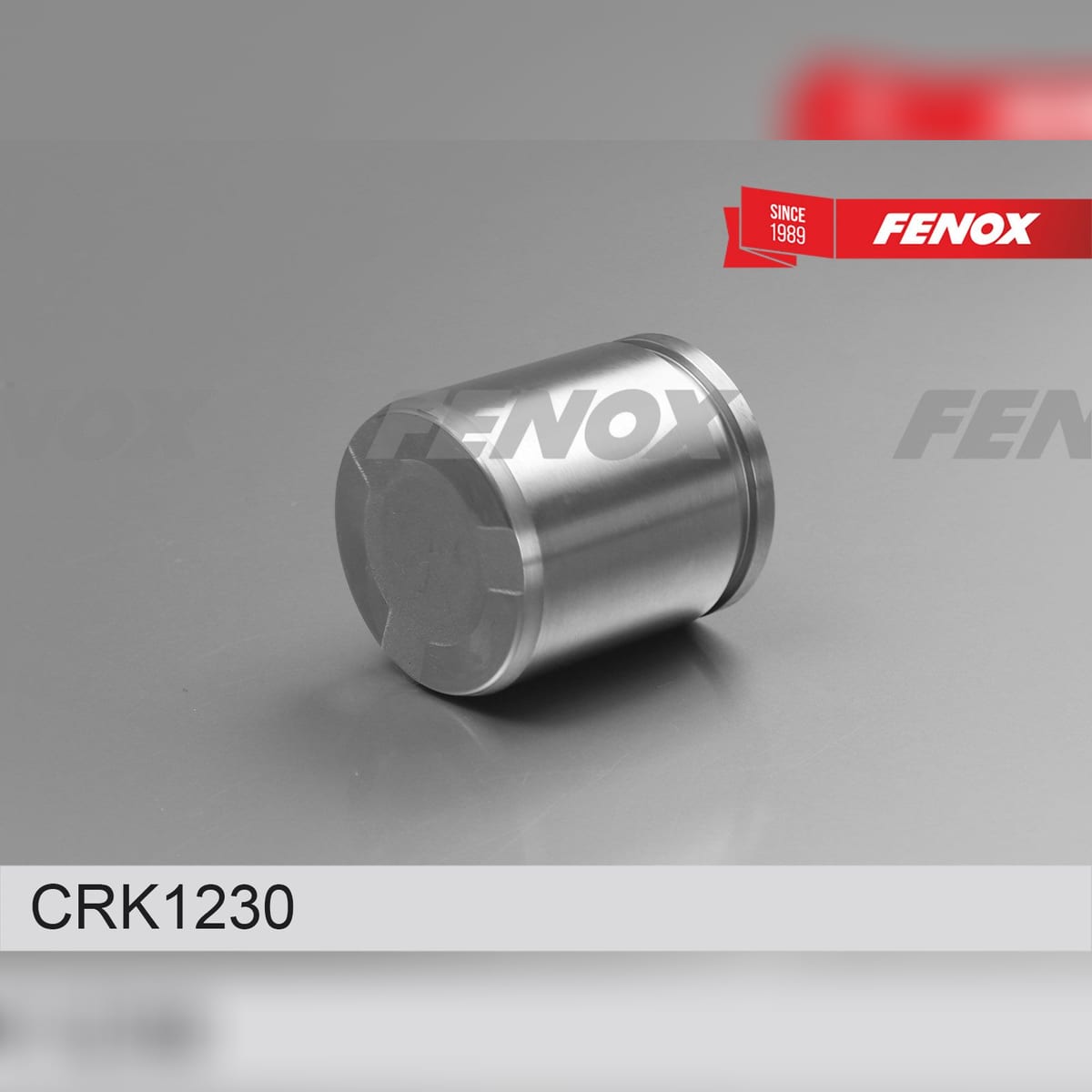 FENOX Ремкомплект тормозного суппорта CRK1230