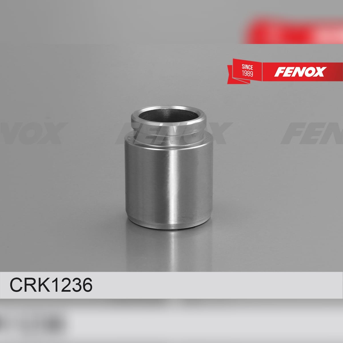 FENOX Ремкомплект тормозного суппорта CRK1236
