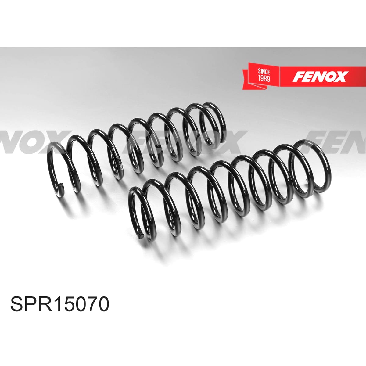 Деталь Пружина подвески FENOX