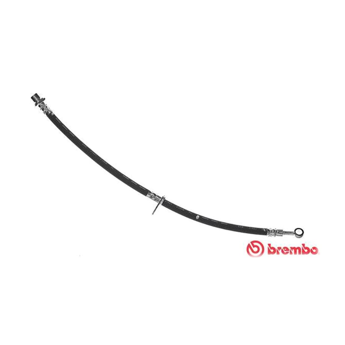 BREMBO Шланг тормозной Honda Accord 02-08