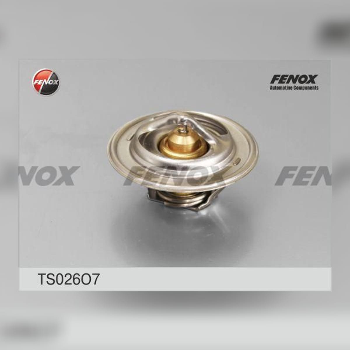 Деталь Термостат (+80°C) HCV FENOX
