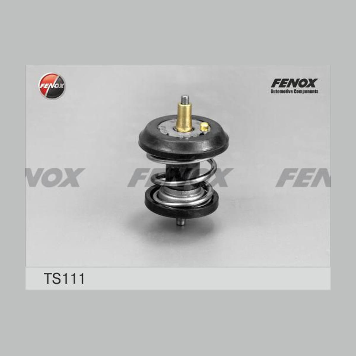 Деталь Термостат (+95°C) с уплотнительным кольцом FENOX